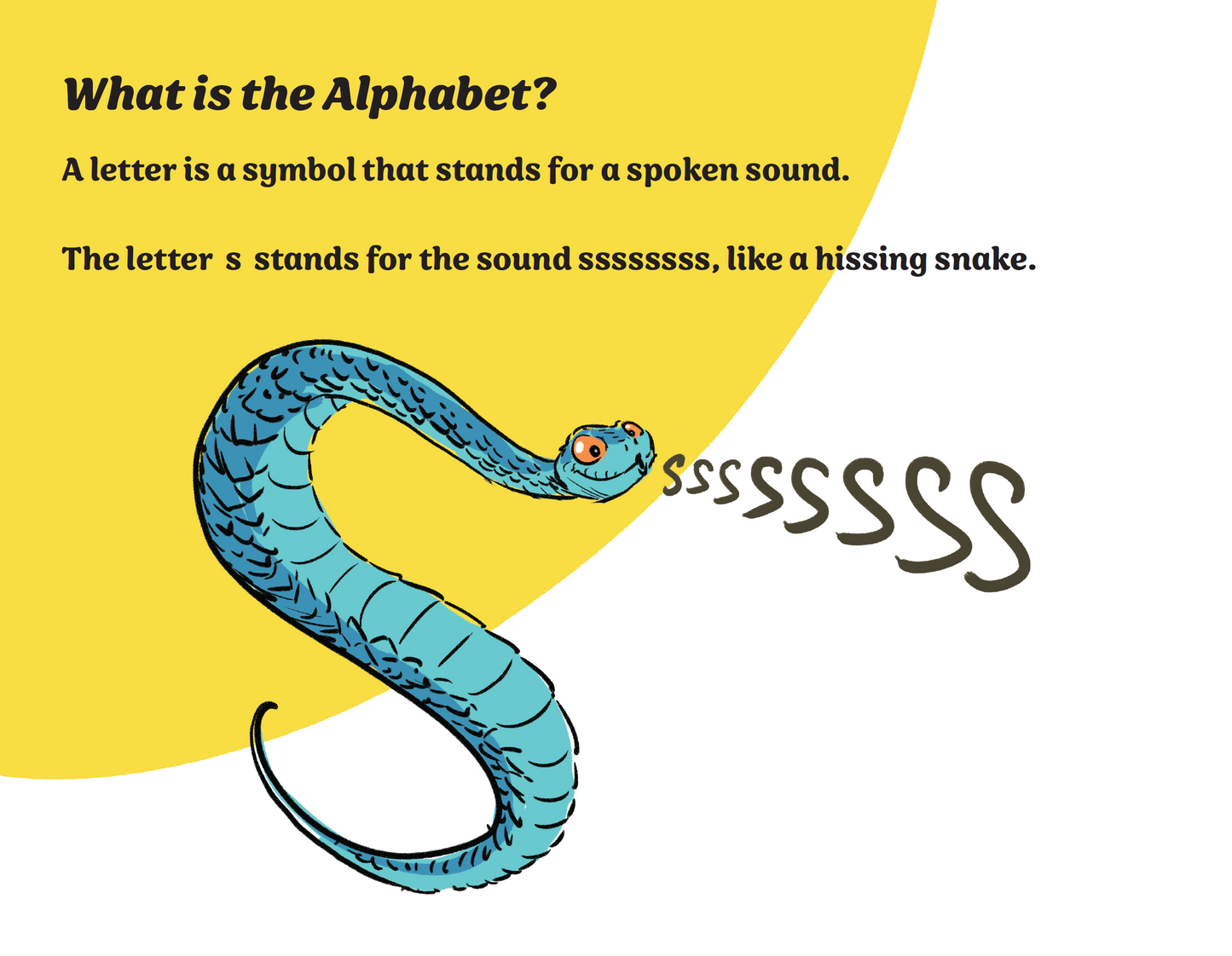 Amazing Animal Alphabet Adventures - A Hilarious A-Z Picture Book